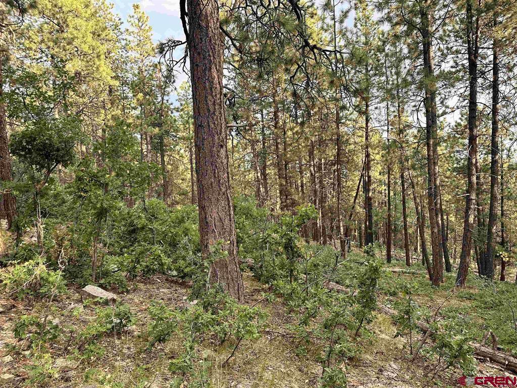 259 Hillside Circle Bayfield CO 81122