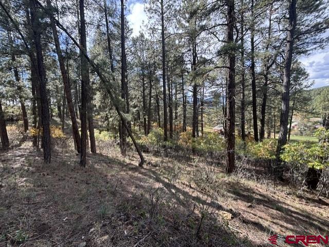 510 Alpine Forest Drive Bayfield CO 81122