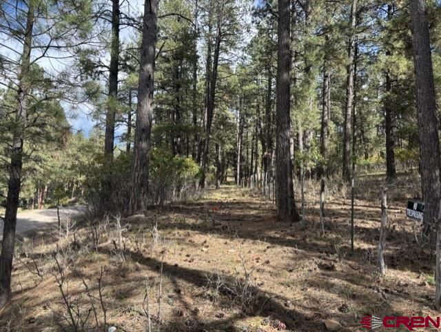 510 Alpine Forest Drive Bayfield CO 81122
