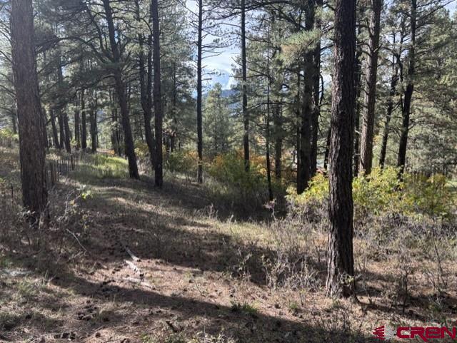 510 Alpine Forest Drive Bayfield CO 81122
