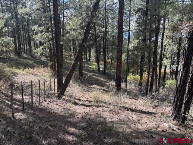 510 Alpine Forest Drive Bayfield CO 81122