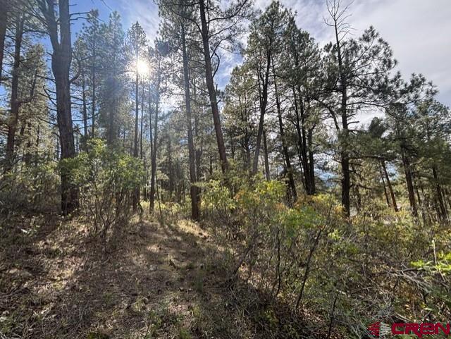 510 Alpine Forest Drive Bayfield CO 81122