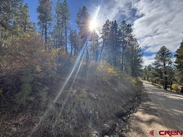 510 Alpine Forest Drive Bayfield CO 81122