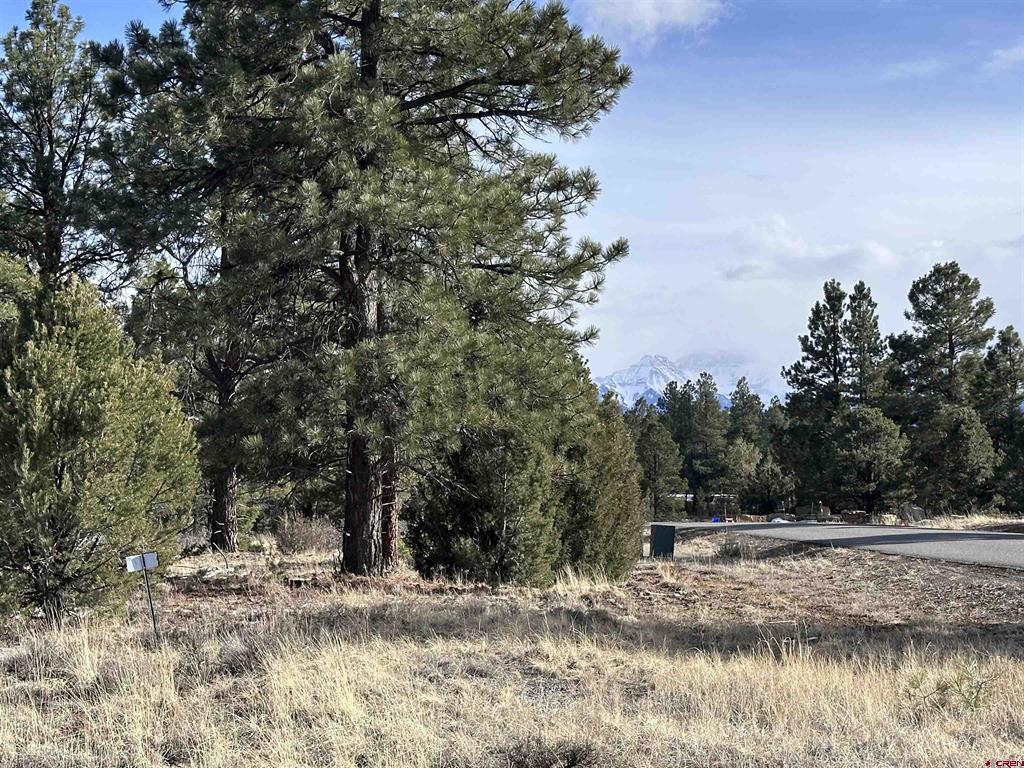 1960 Marmot Drive Ridgway CO 81432