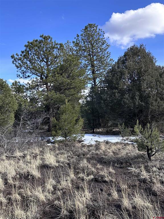 1960 Marmot Drive Ridgway CO 81432