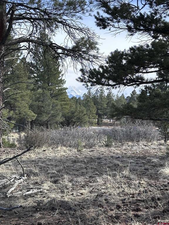 1960 Marmot Drive Ridgway CO 81432
