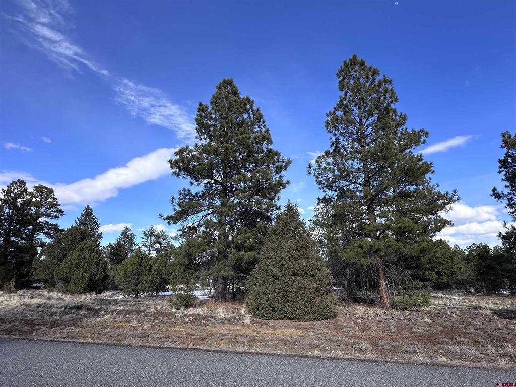 1960 Marmot Drive Ridgway CO 81432