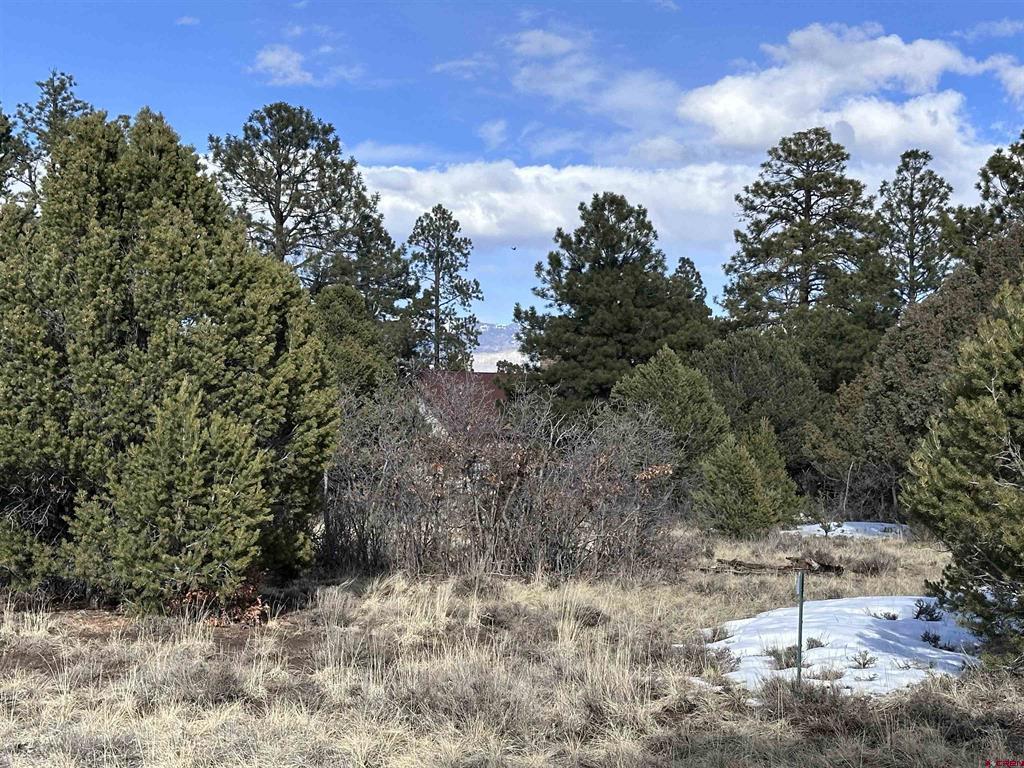 1960 Marmot Drive Ridgway CO 81432