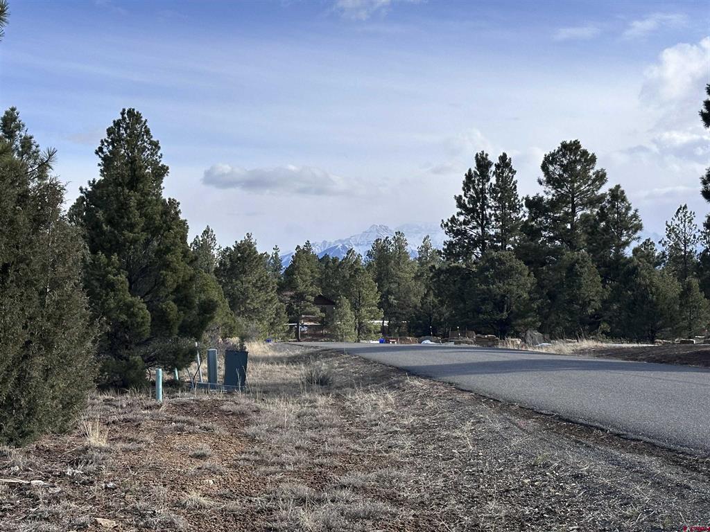 1960 Marmot Drive Ridgway CO 81432
