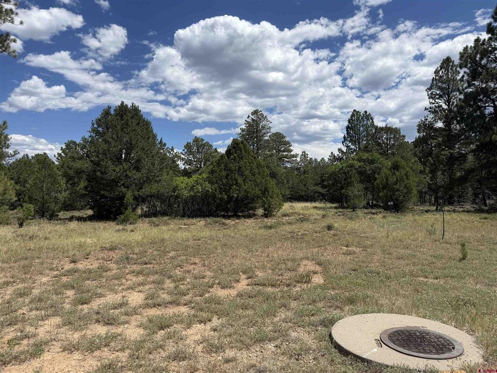 1960 Marmot Drive Ridgway CO 81432