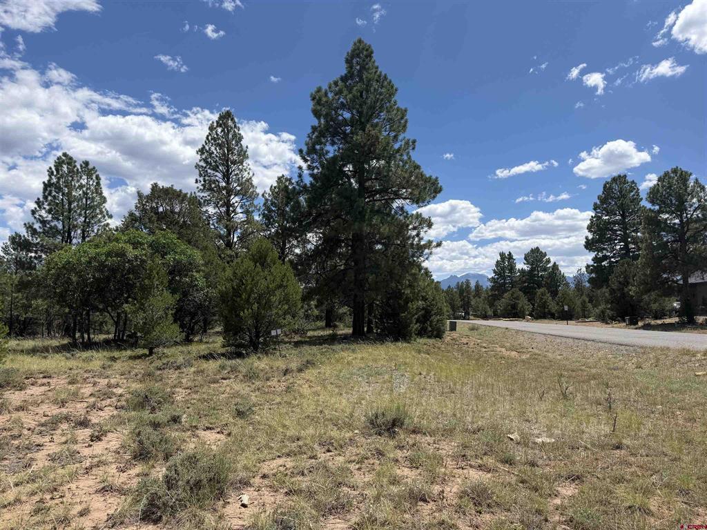 1960 Marmot Drive Ridgway CO 81432