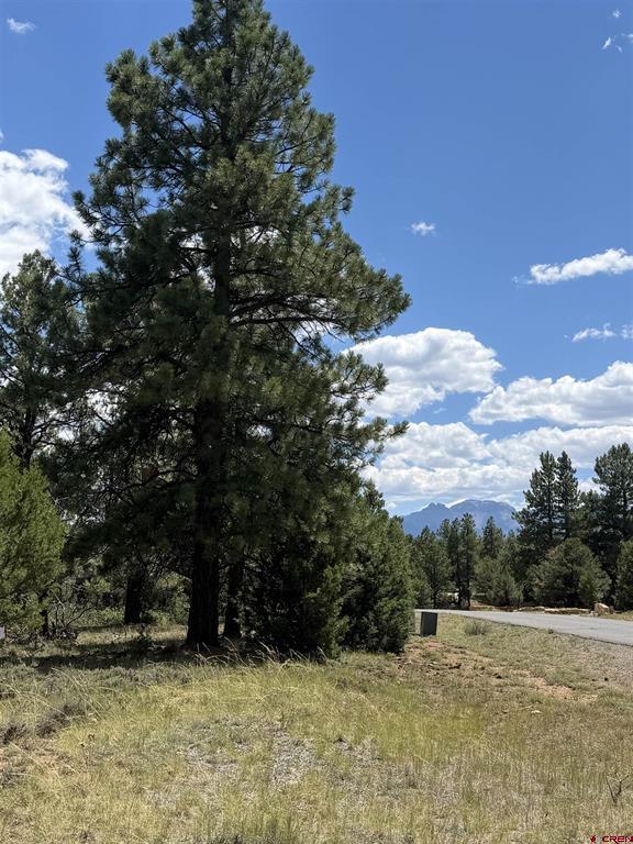 1960 Marmot Drive Ridgway CO 81432