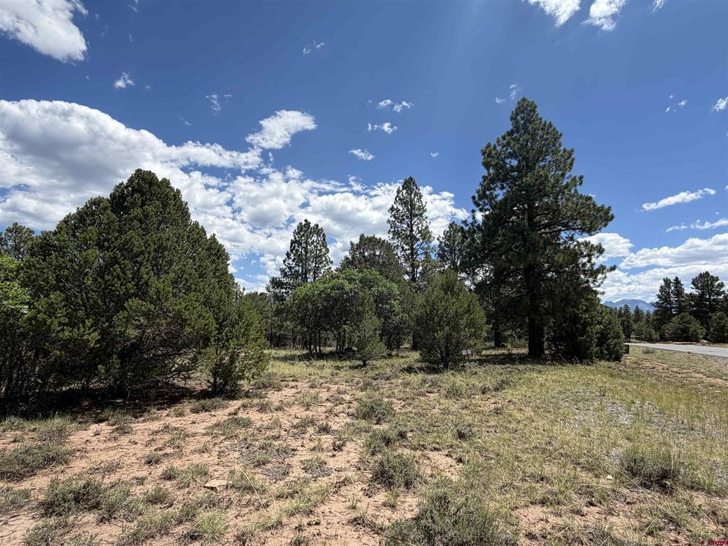 1960 Marmot Drive Ridgway CO 81432