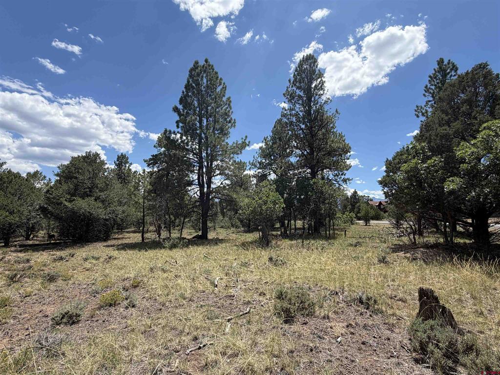 1960 Marmot Drive Ridgway CO 81432