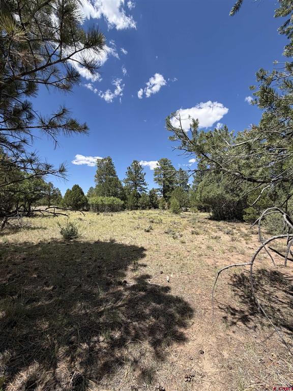 1960 Marmot Drive Ridgway CO 81432