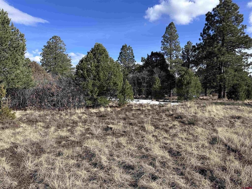 1960 Marmot Drive Ridgway CO 81432