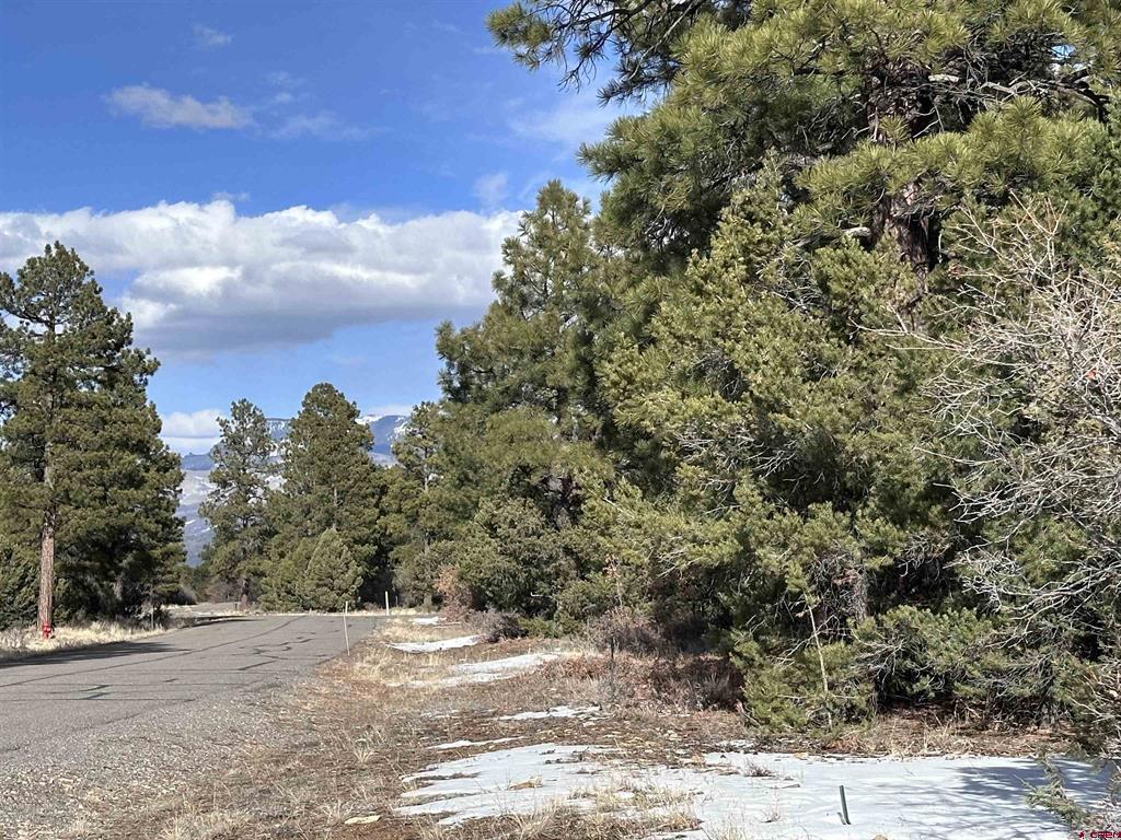 1960 Marmot Drive Ridgway CO 81432