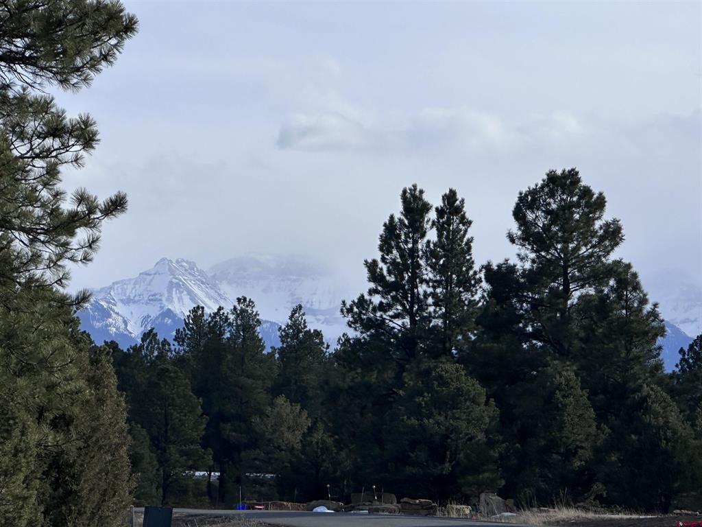 1960 Marmot Drive Ridgway CO 81432
