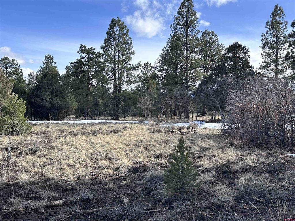 1960 Marmot Drive Ridgway CO 81432