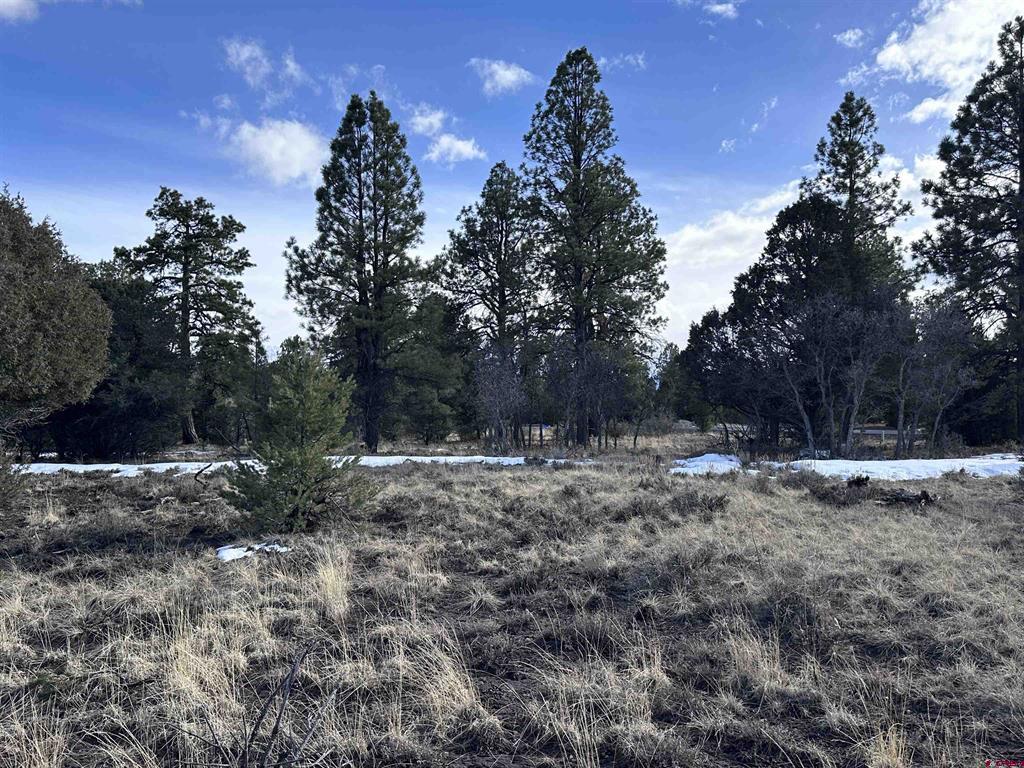 1960 Marmot Drive Ridgway CO 81432