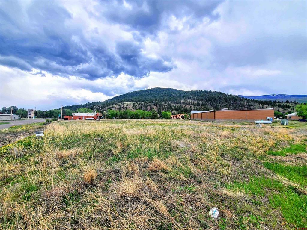 242 Birch Street South Fork CO 81154