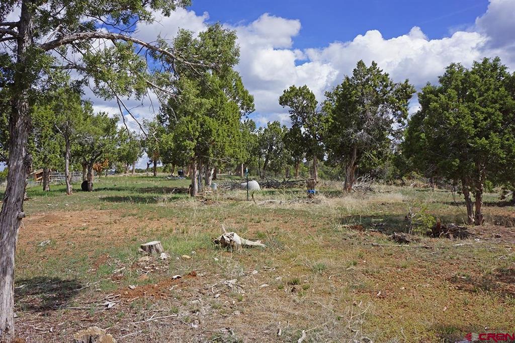 32718 Road P Mancos CO 81328