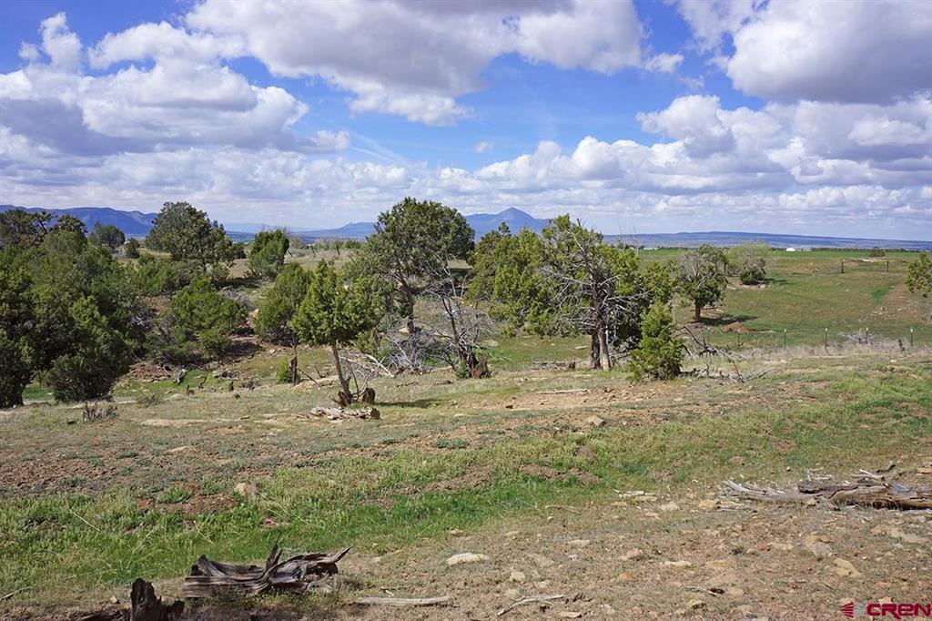 32718 Road P Mancos CO 81328