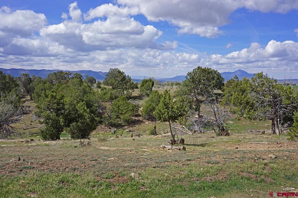 32718 Road P Mancos CO 81328