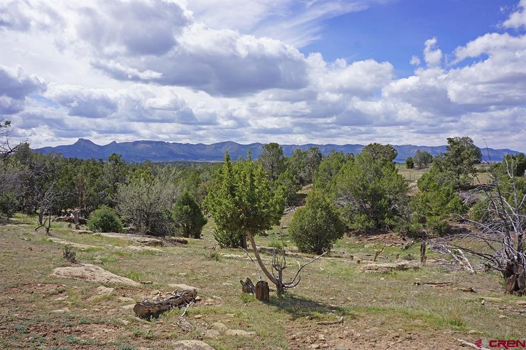 32718 Road P Mancos CO 81328
