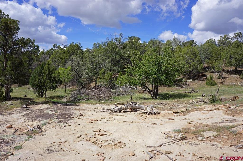 32718 Road P Mancos CO 81328