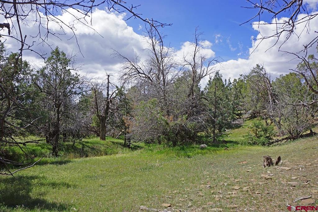 32718 Road P Mancos CO 81328