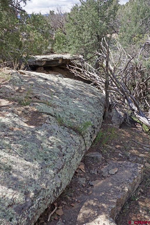 32718 Road P Mancos CO 81328