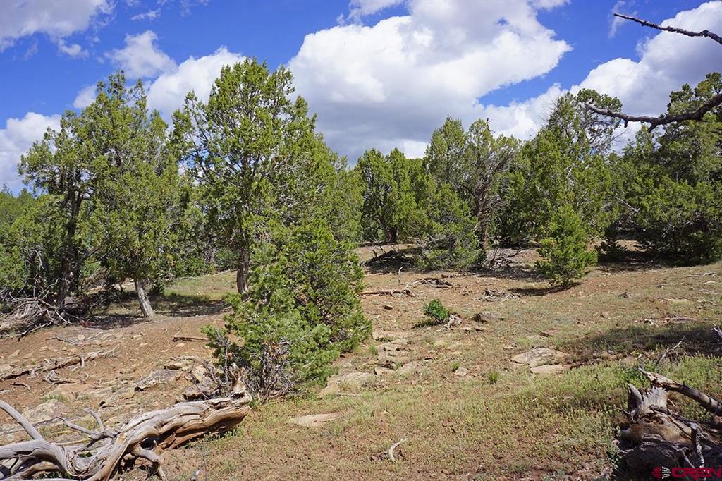 32718 Road P Mancos CO 81328