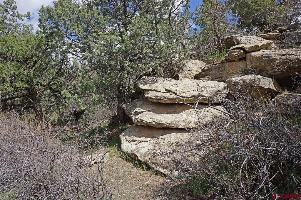 32718 Road P Mancos CO 81328