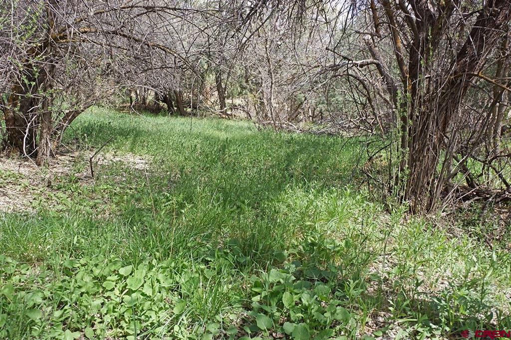 32718 Road P Mancos CO 81328