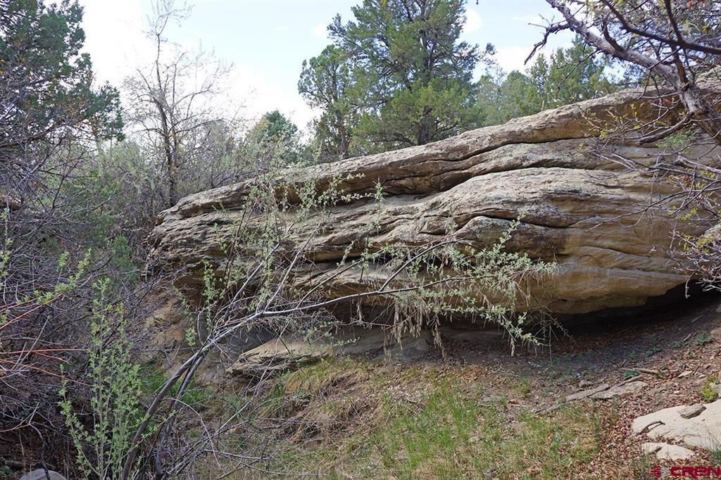32718 Road P Mancos CO 81328