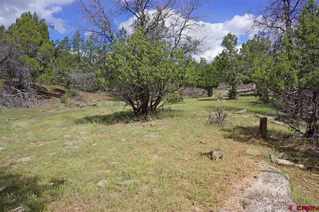 32718 Road P Mancos CO 81328