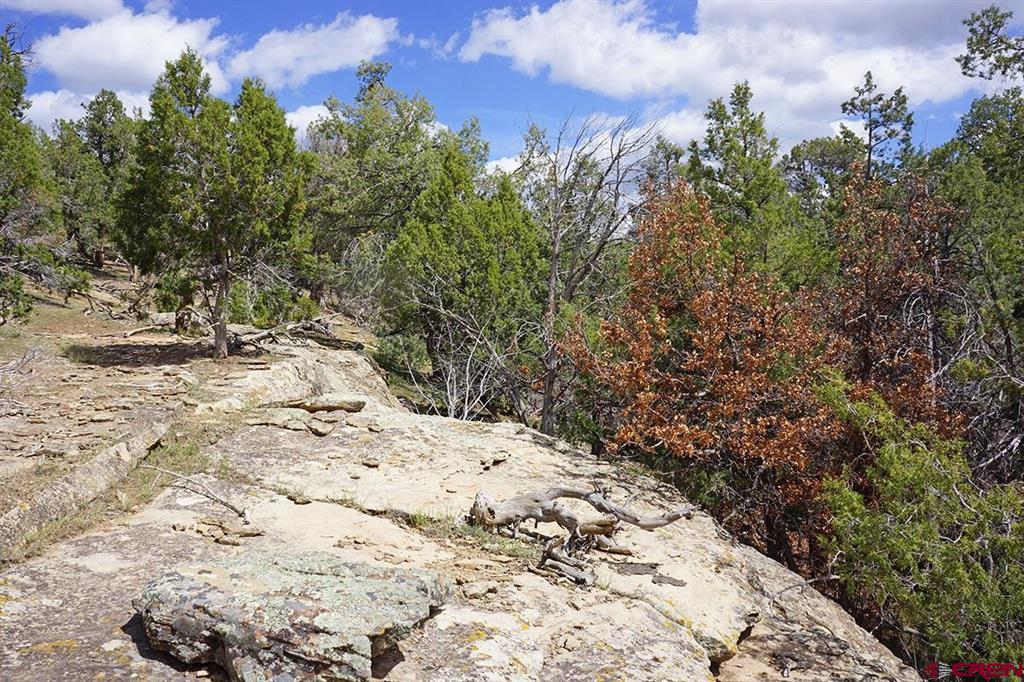 32718 Road P Mancos CO 81328