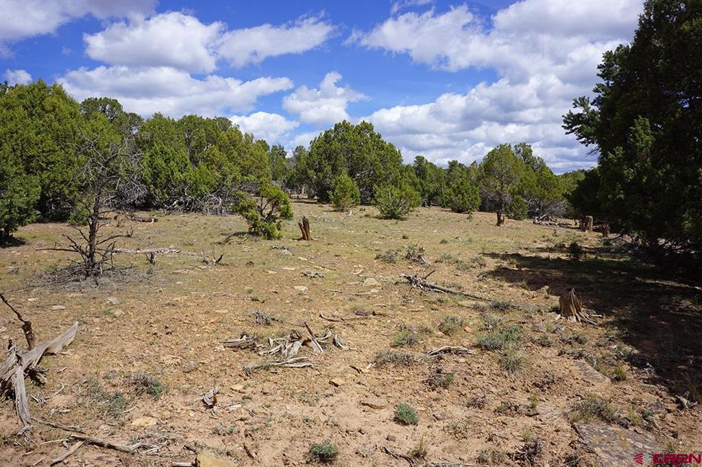 32718 Road P Mancos CO 81328