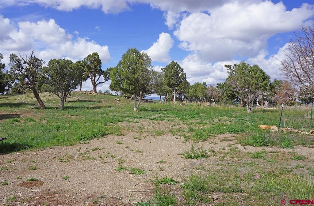 32718 Road P Mancos CO 81328