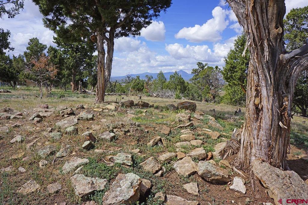 32718 Road P Mancos CO 81328