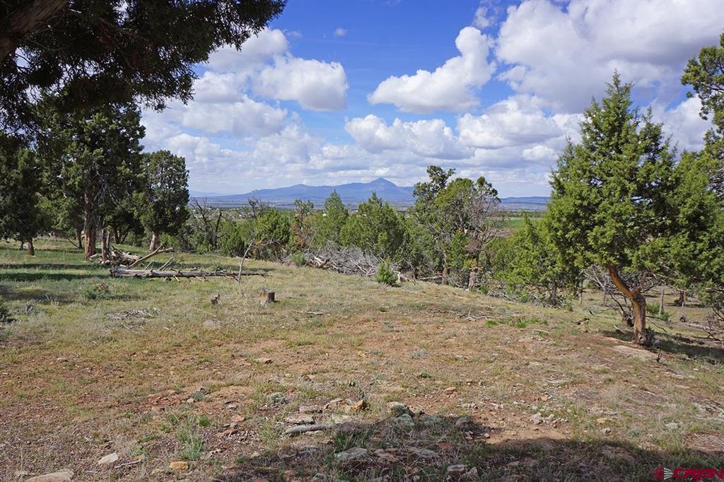 32718 Road P Mancos CO 81328