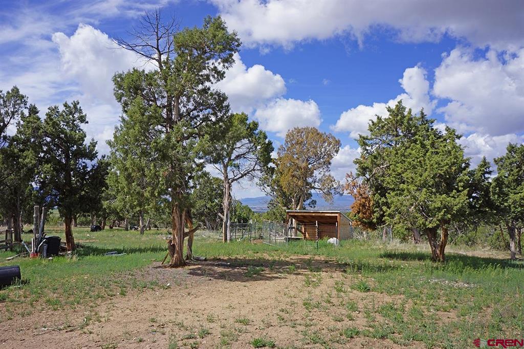 32718 Road P Mancos CO 81328