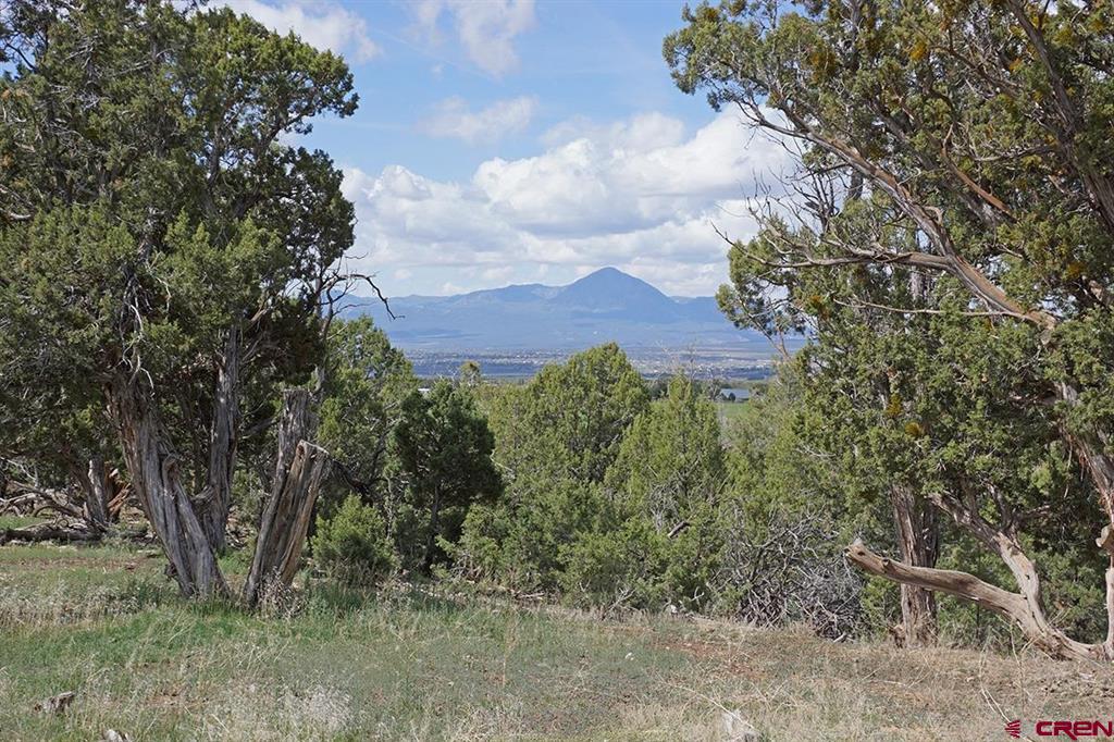 32718 Road P Mancos CO 81328
