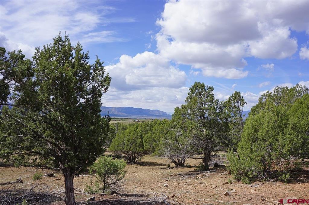 32718 Road P Mancos CO 81328