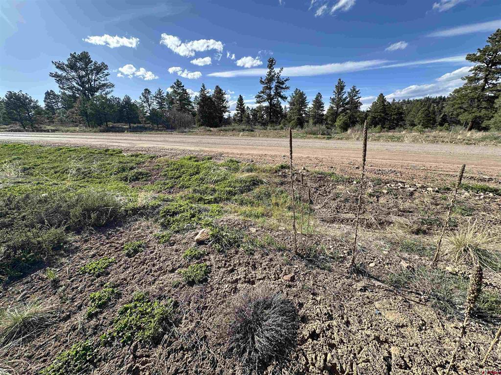 748 Trails Boulevard Pagosa Springs CO 81147