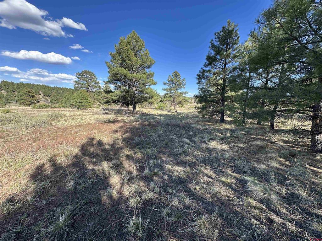 748 Trails Boulevard Pagosa Springs CO 81147
