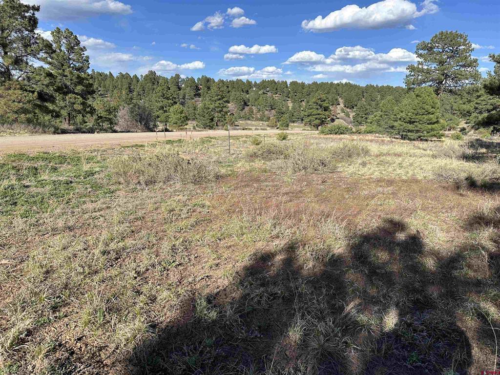 748 Trails Boulevard Pagosa Springs CO 81147