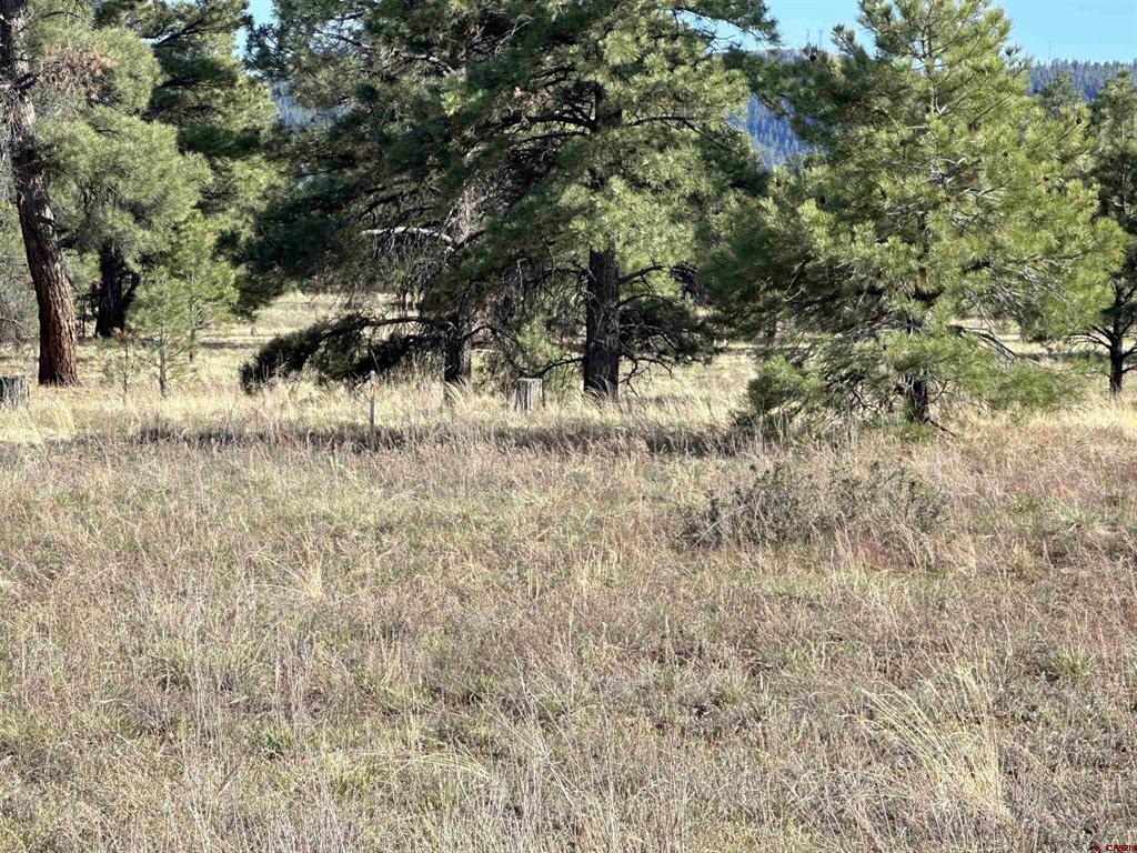 748 Trails Boulevard Pagosa Springs CO 81147