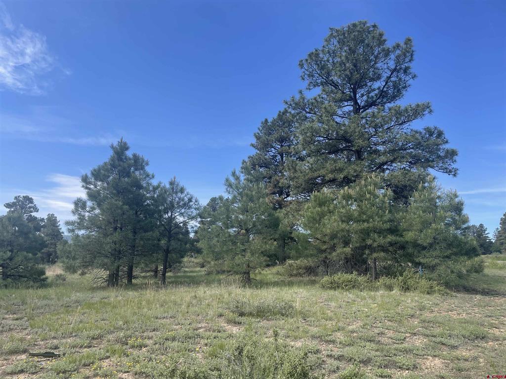 748 Trails Boulevard Pagosa Springs CO 81147